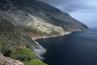 kavos malias